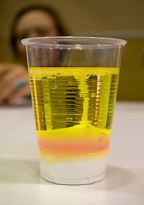 photo of a scientific experiment, showing the bubbles forming in a cup of oil and other ingredients